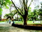 Foto da P&ccedil;a. Get&uacute;lio Vargas, Centro de Guarulhos